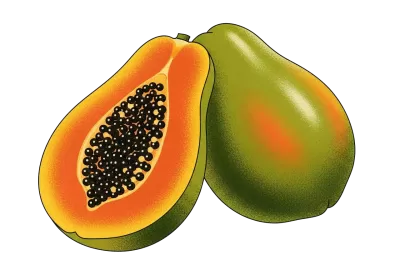 Imagen PNG para descargar